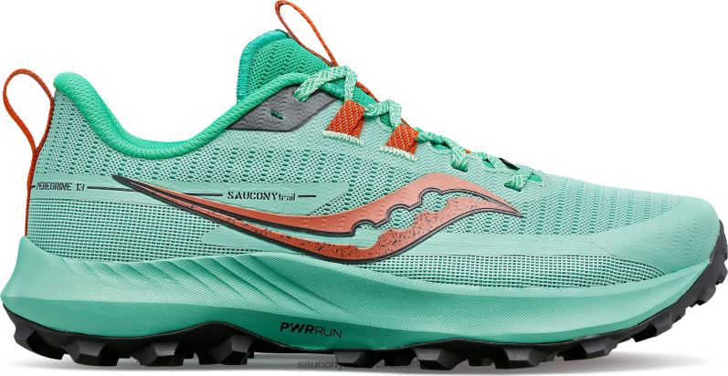 slechtvalk 13 vrouwen Saucony64BDR544 takje/bladerdak